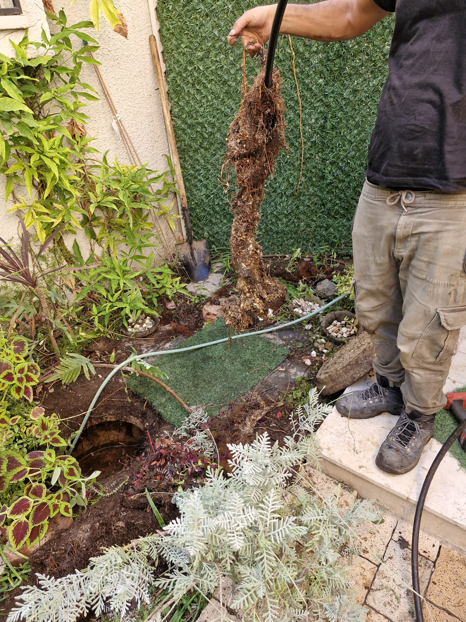 פתיחת סתימת שורשים בחצר